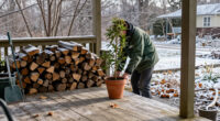 Should You Leave Potted Plants Outdoors In The Winter?