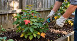 Stop Pruning These 11 Shrubs Every Crisp October & Thank Us Later